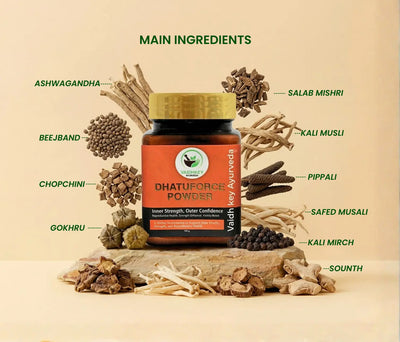 Ayurvedic Stamina Booster for Men – Dhatu Force Powder
