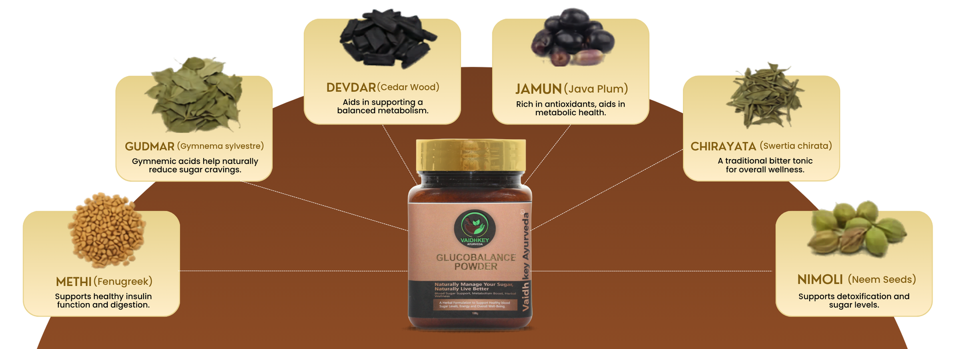 Ayurvedic Sugar Control Powder - Glucobalance for Blood Sugar Support