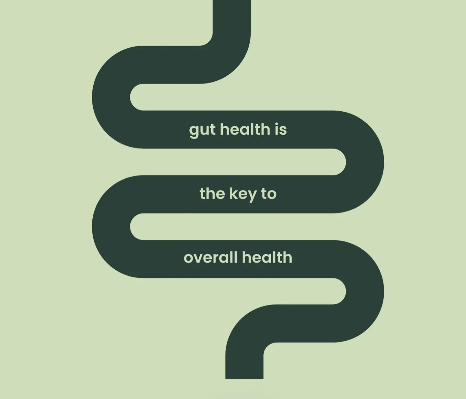 Ayurvedic Weight Loss Powder - Fit Trim Pack for Fat Management - Vaidhkey Ayurveda