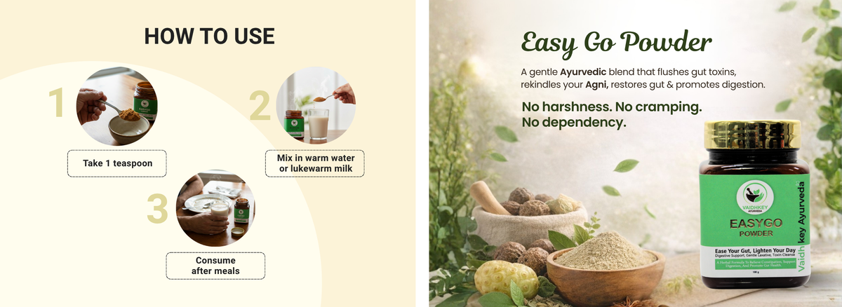 Go Daily Powder Ayurvedic Powder for Constipation | Easy Go Powder