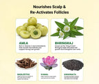 Herbal ingredients for hair care with text on a beige background