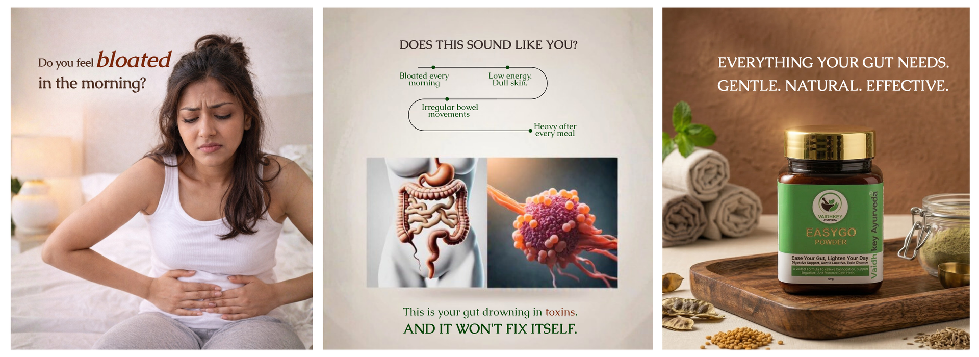 Ayurvedic Constipation Powder for Natural Relief - Easy Go Powder