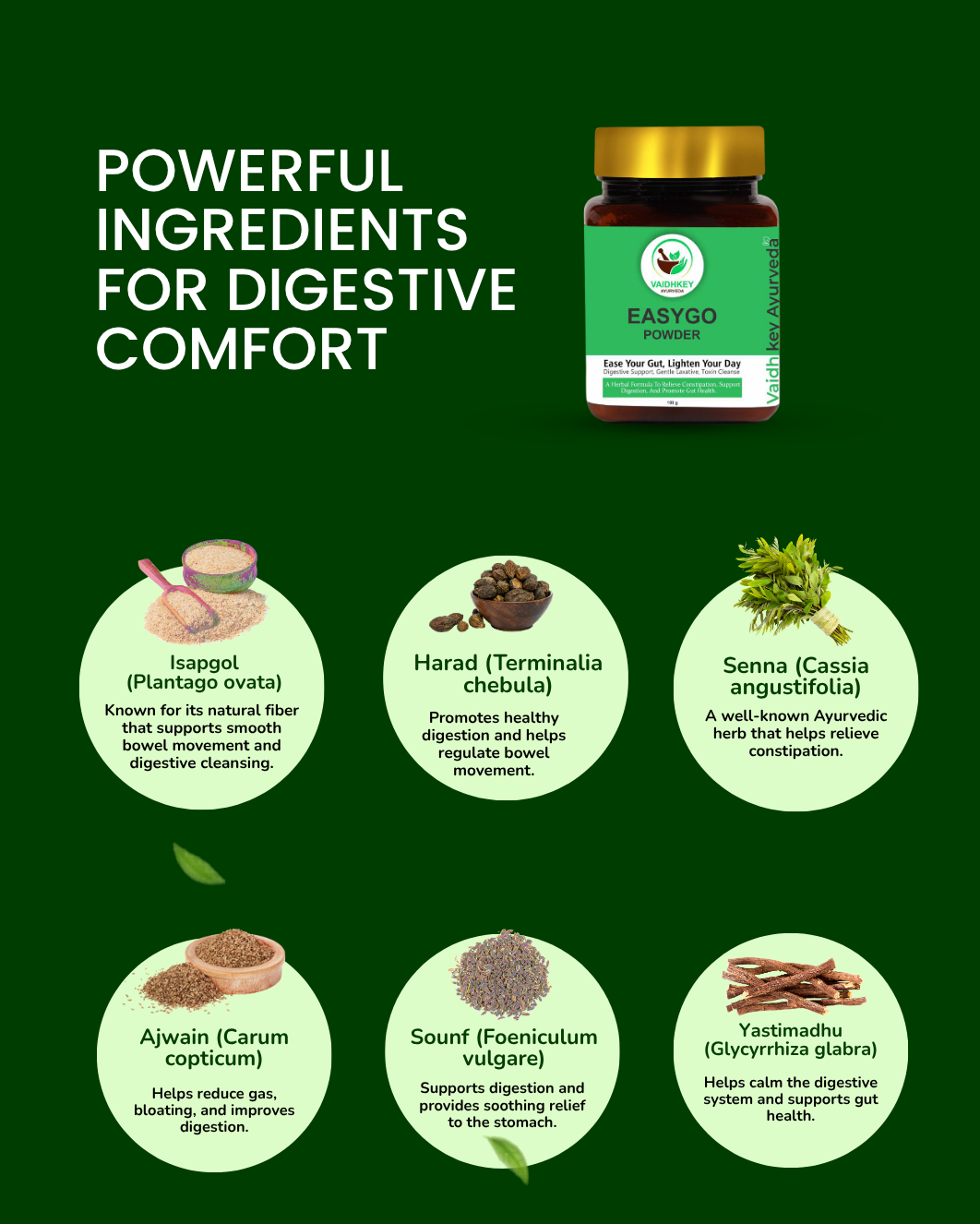 Ayurvedic Constipation Powder for Natural Relief - Easy Go Powder