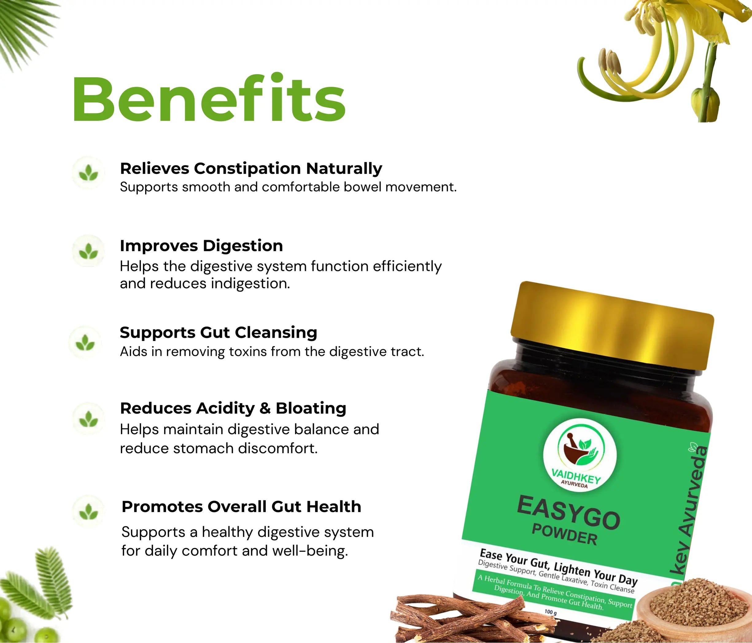 Promotional image of EasyGo Powder with benefits listed on a white background.