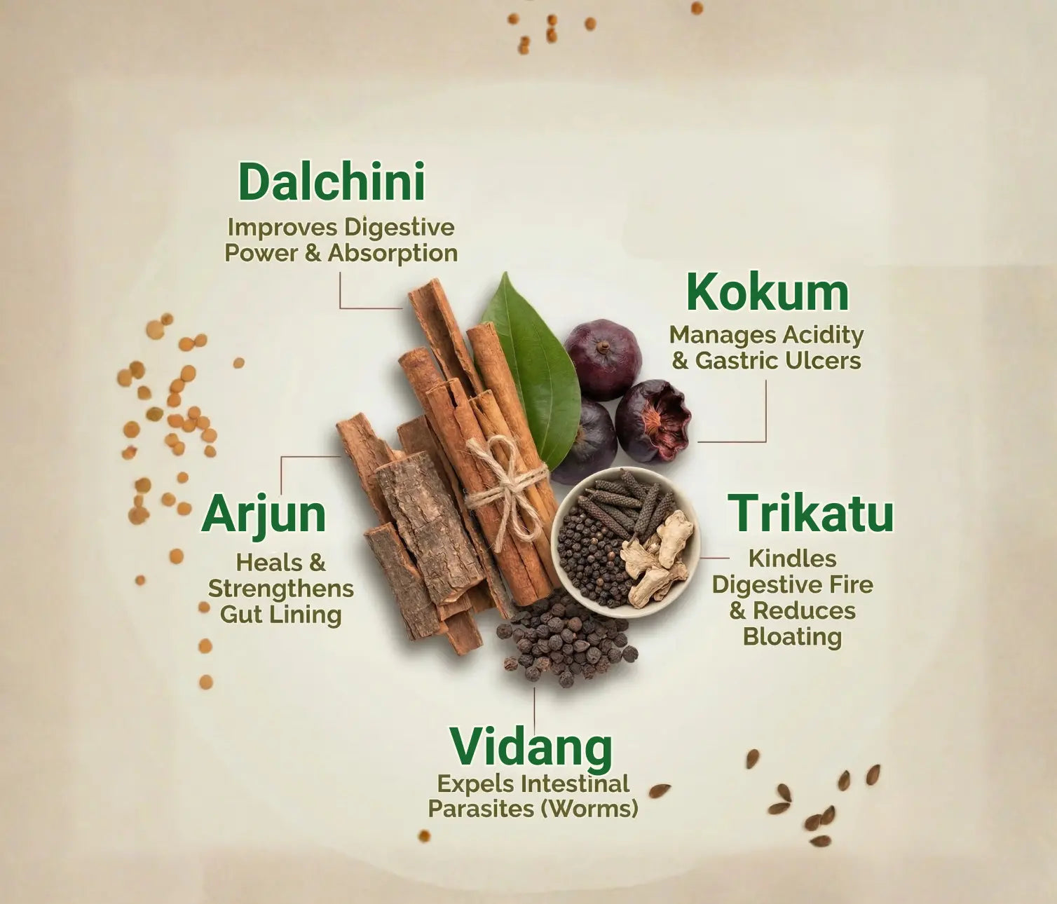 Ayurvedic Weight Loss Powder - Fit Trim Pack for Fat Management - Vaidhkey Ayurveda