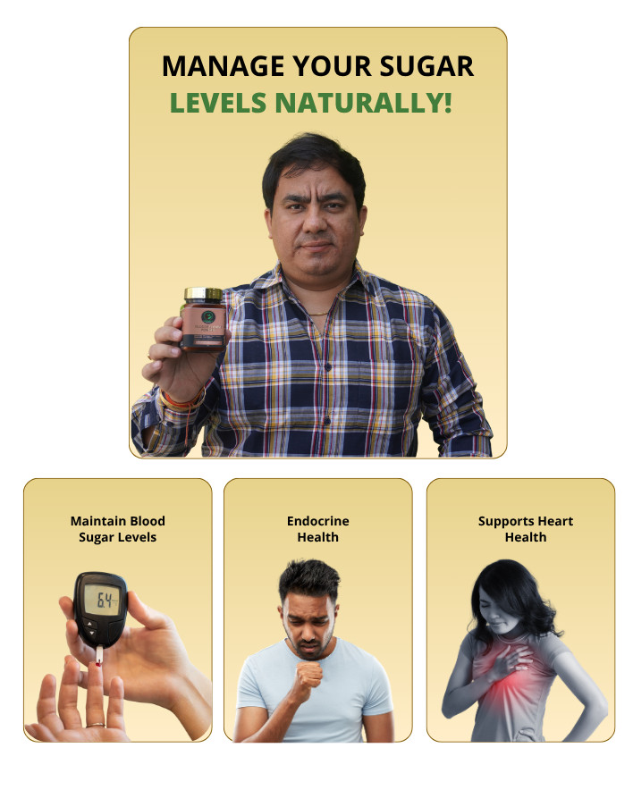 Ayurvedic Sugar Control Powder - Glucobalance for Blood Sugar Support